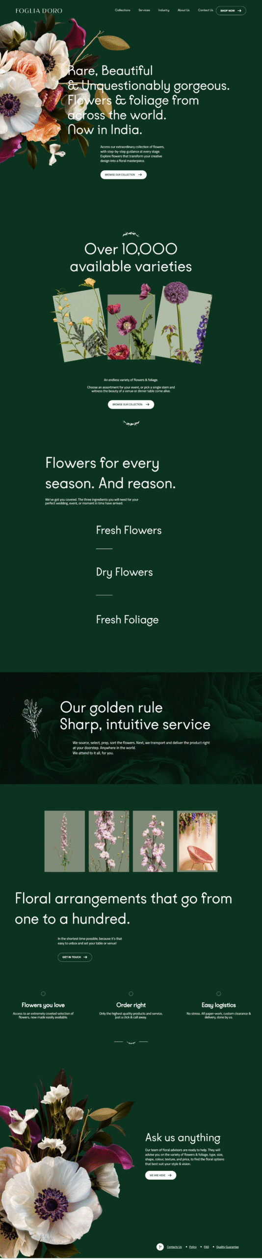 webflow